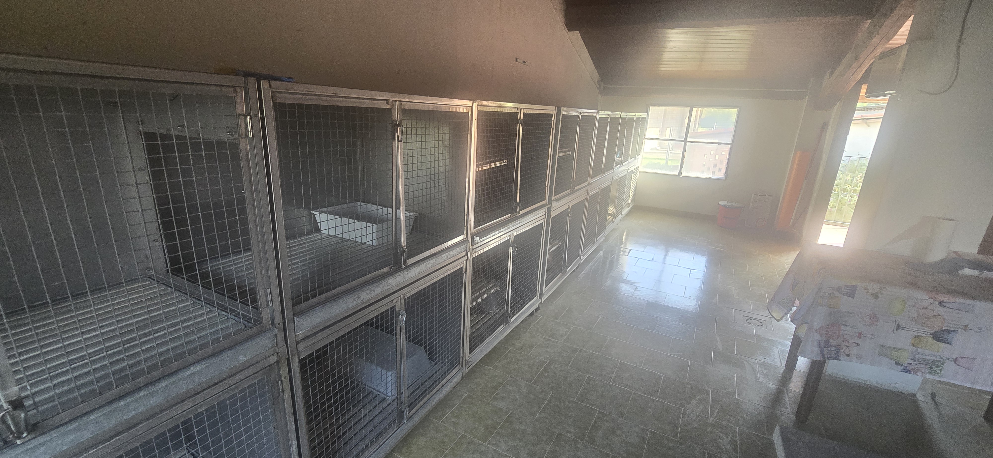Pensione Dall'Ape alla Zebra - Box per gatti dettaglio